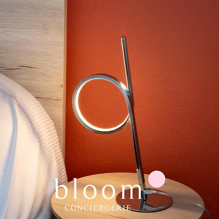 Plein Centre 6 Voyageurs * Νανσύ